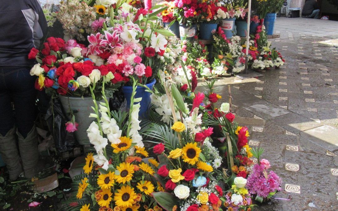 Un Paseo por la Magia Floral: Descubriendo la Plaza de las Flores